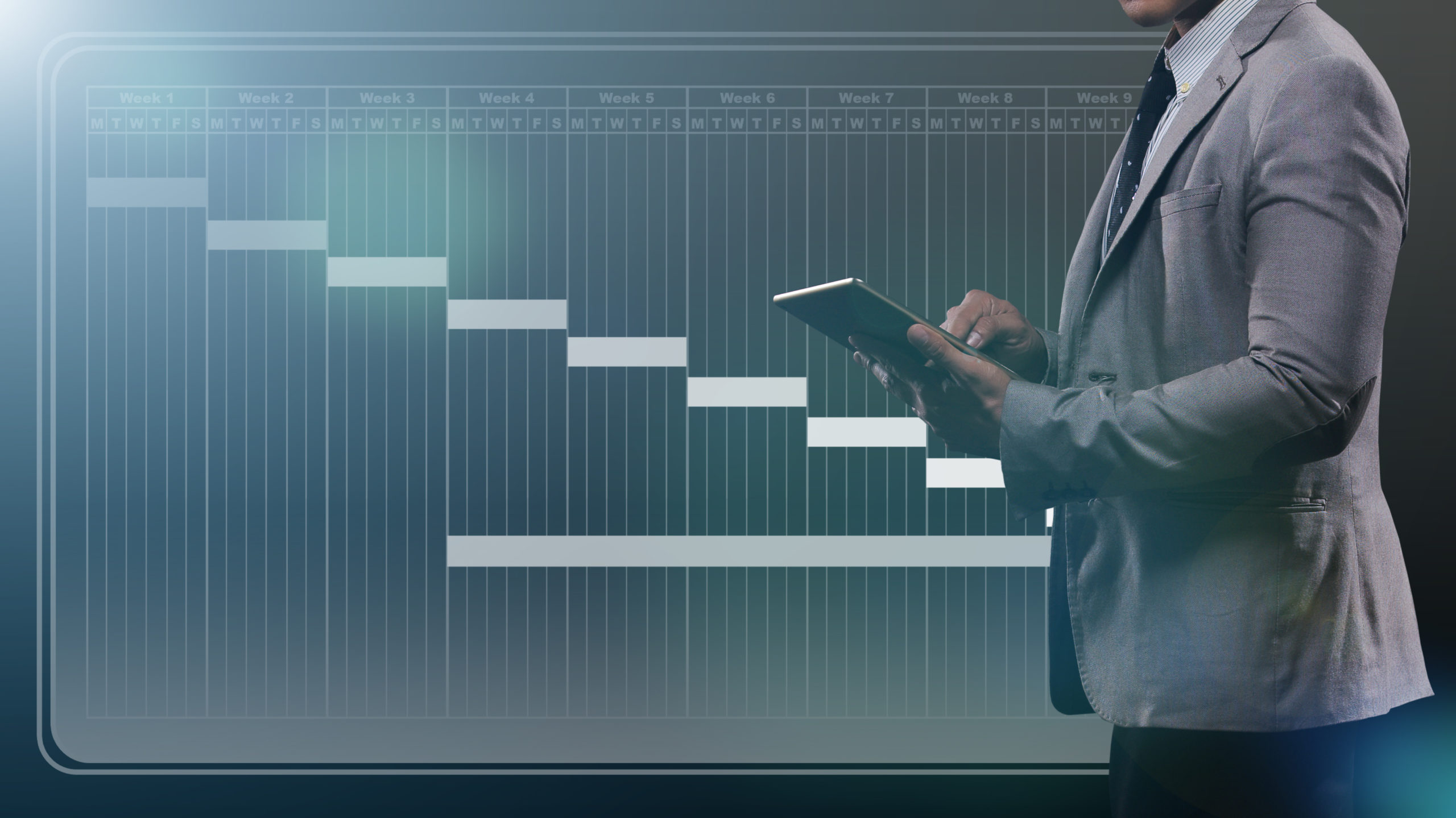 Advanced Planning Using Primavera P6